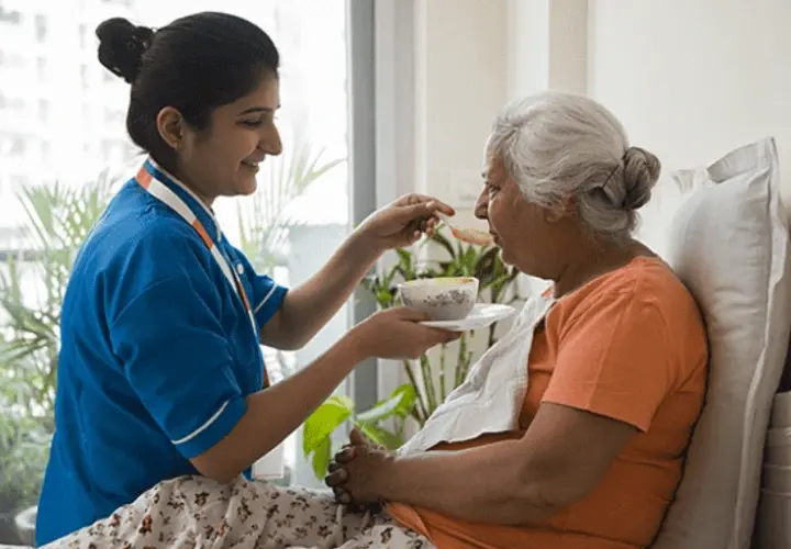 Long Term Home Care Services Providing Stability And Ongoing Support